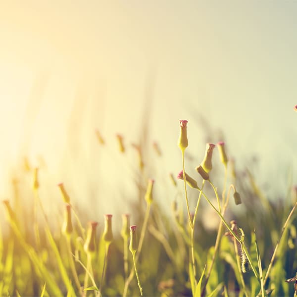 galery-naturopathie_0010_8