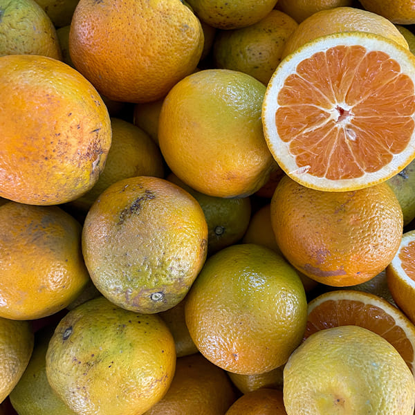 galery-naturopathie_0014_3