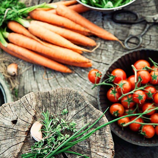 galery-naturopathie_0017_2